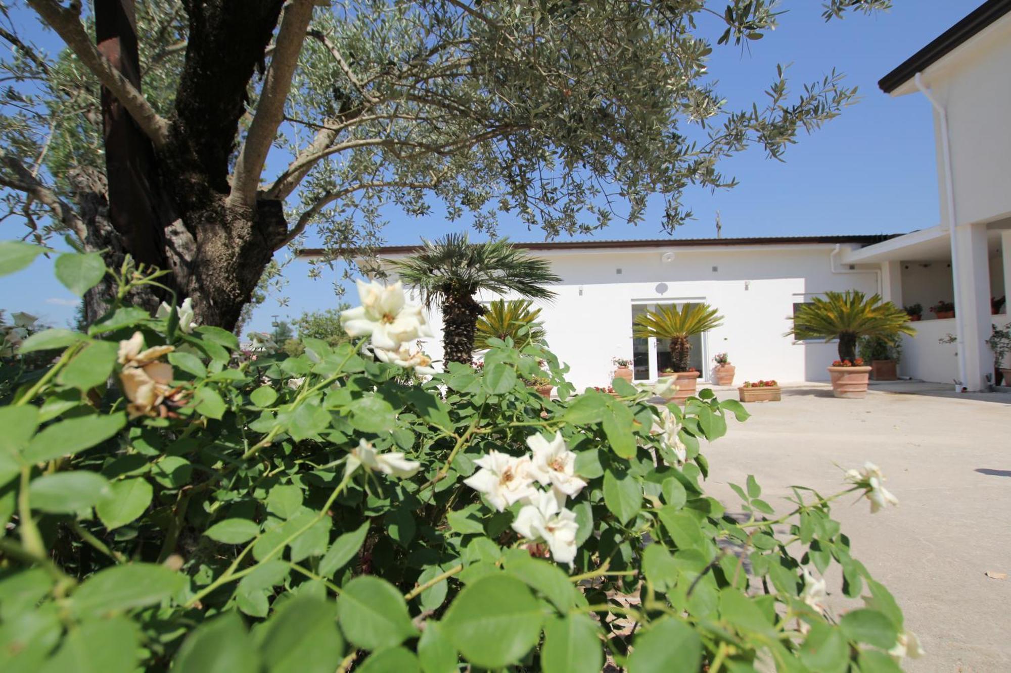 Castrocielo Villa Capodacqua المظهر الخارجي الصورة